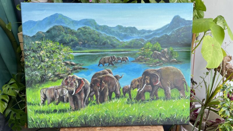 AN ELEPHANT HERD - Image 2